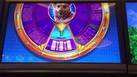 corgi cash slot machine